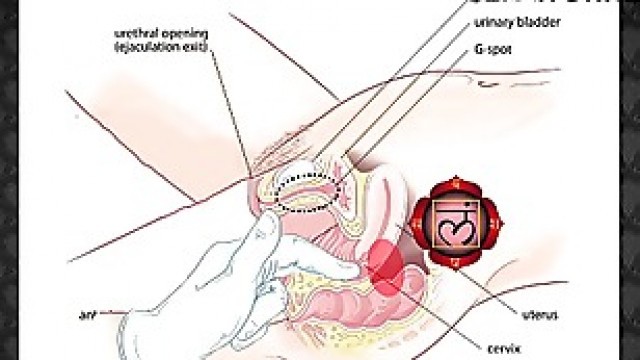 Best technique to eat a pussy (educational, Jean-Marie Corda, how2fuck)